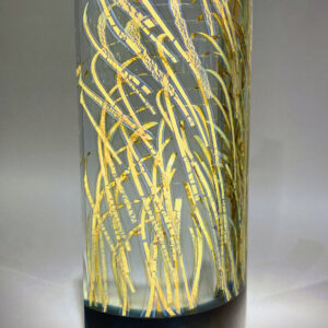 TOMÁŠ HLAVIČKA - Paravánek