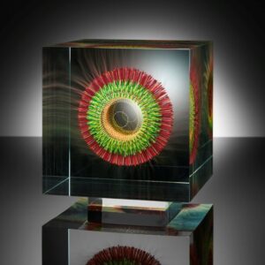 WILFRIED GROOTENS - Green red Anemone