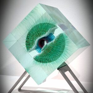 WILFRIED GROOTENS - W.T.S.B.B. E48